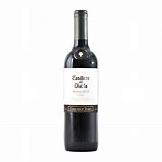Casillero Del Diablo Malbec