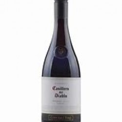 Casillero Del Diablo Shiraz